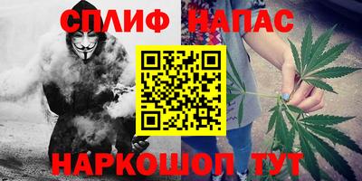 индика Партизанск