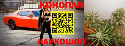 индика Партизанск