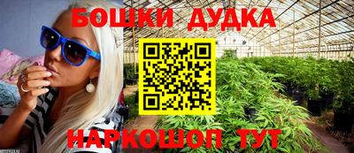 индика Партизанск