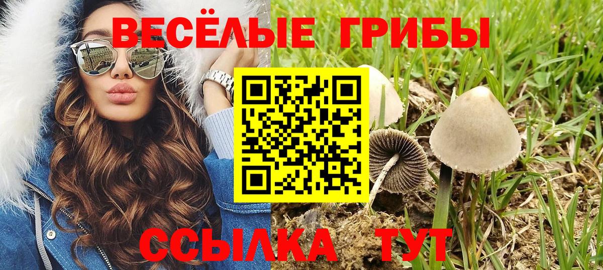 Реж  Псилоцибиновые грибы мухоморы  Вход с VPN 